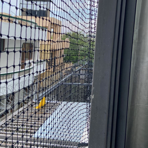 AV global bird netting (9)
