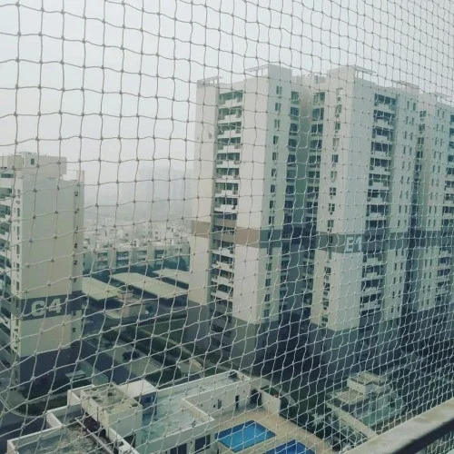 Commercial bird net installation