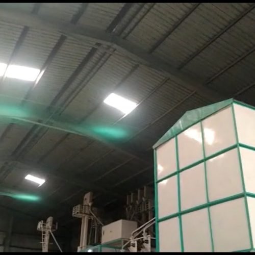 Industrial bird net installation in Jalalabad