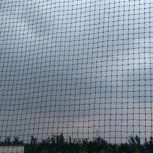 Pigeon Net for Balconies Faridabad