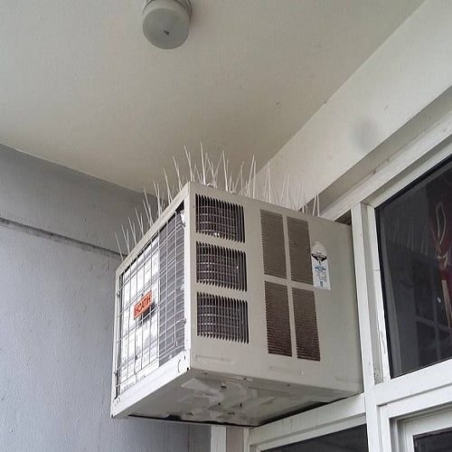Bird control services Windows AC spike kit installation