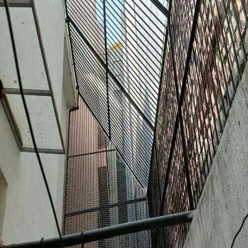 Bird netting on grill