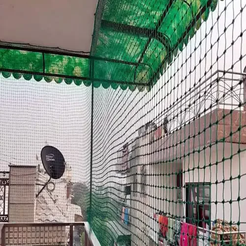 Green bird and monkey protection net