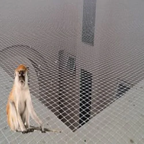 monkey-protection-net