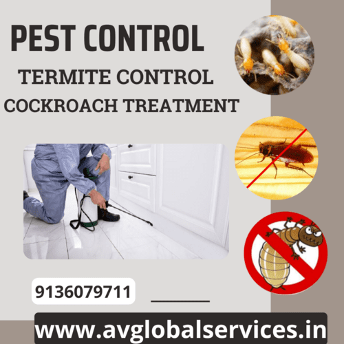 pest control (1)