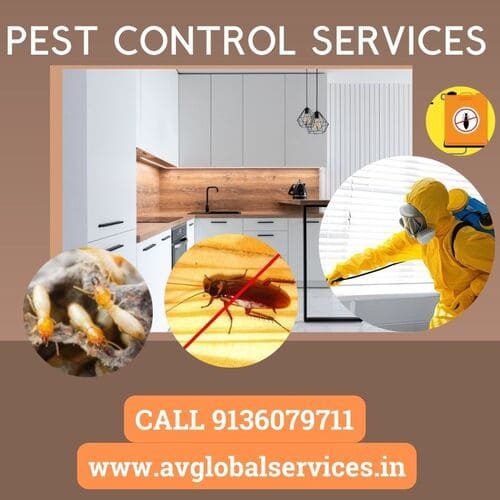 pest control2