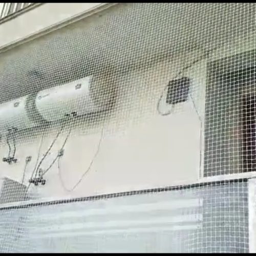 white pigeon safety net balcony